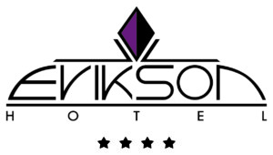 Erikson Logo 2020 Klein 1